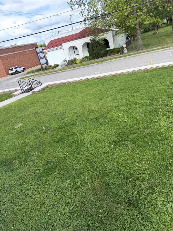 Green lawn after hydroseeding